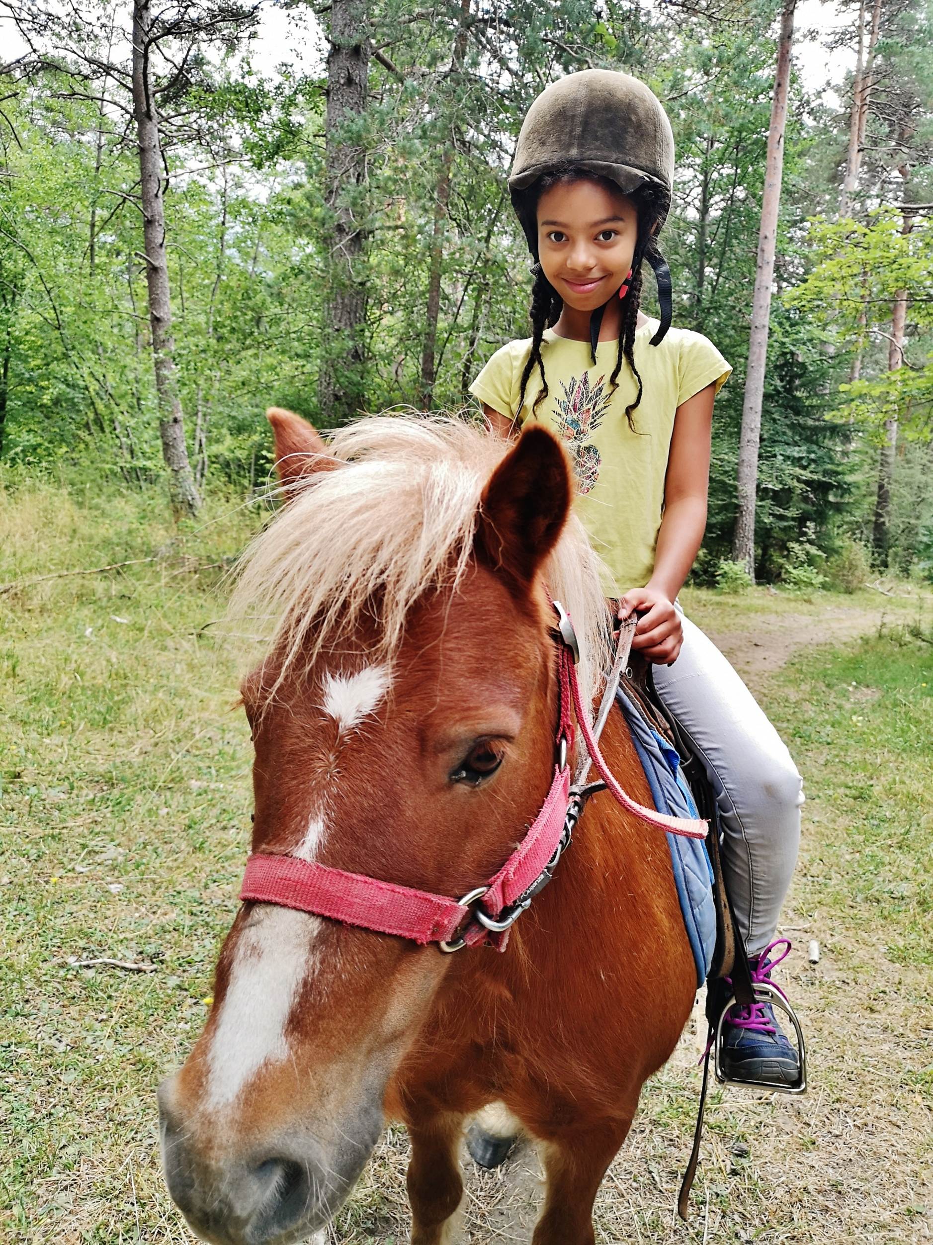 Une image contenant ext�rieur, herbe, cheval, brun

Description g�n�r�e automatiquement