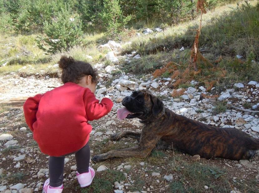 Orliane Gaiai 0209 12 (2).JPG