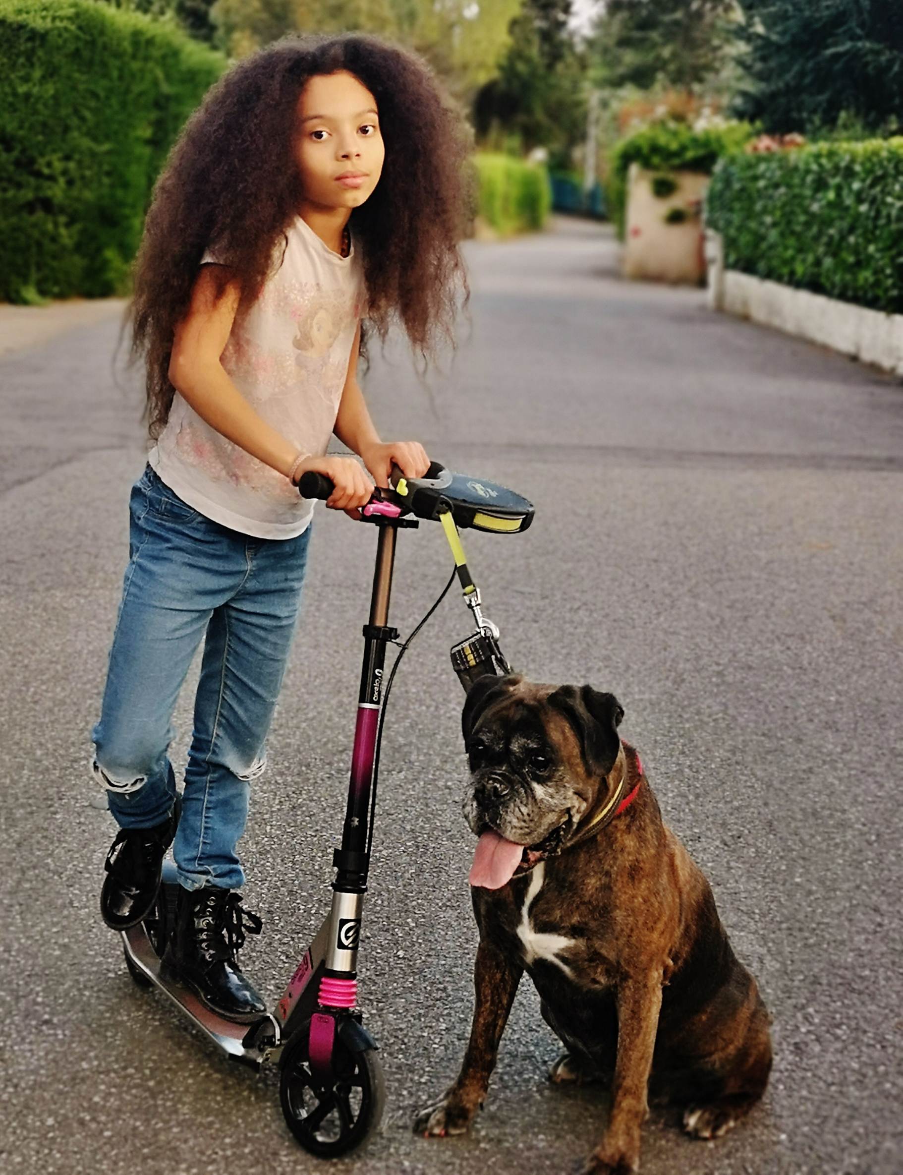 Une image contenant chien, ext�rieur, personne, route

Description g�n�r�e automatiquement