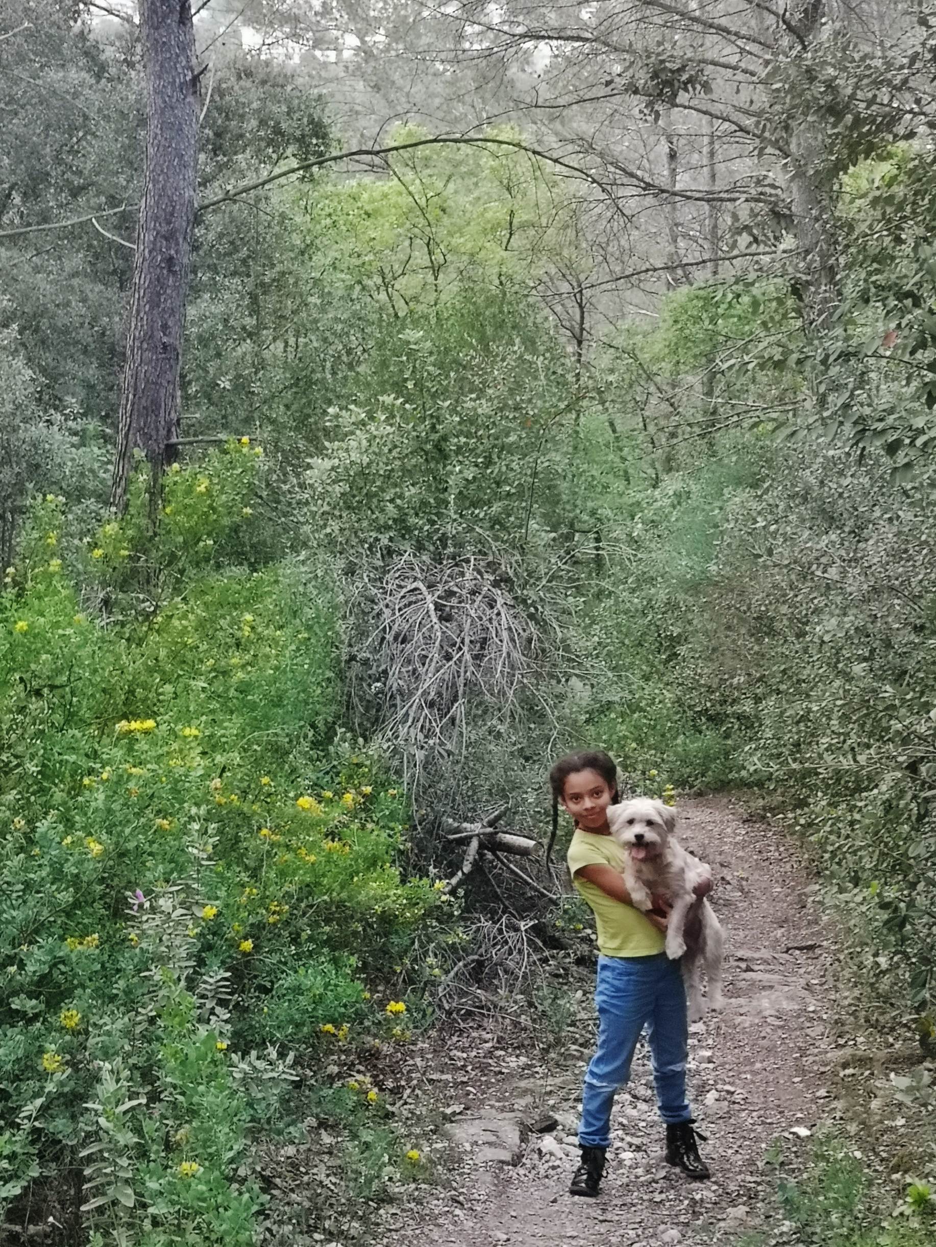 Une image contenant ext�rieur, arbre, herbe, marchant

Description g�n�r�e automatiquement