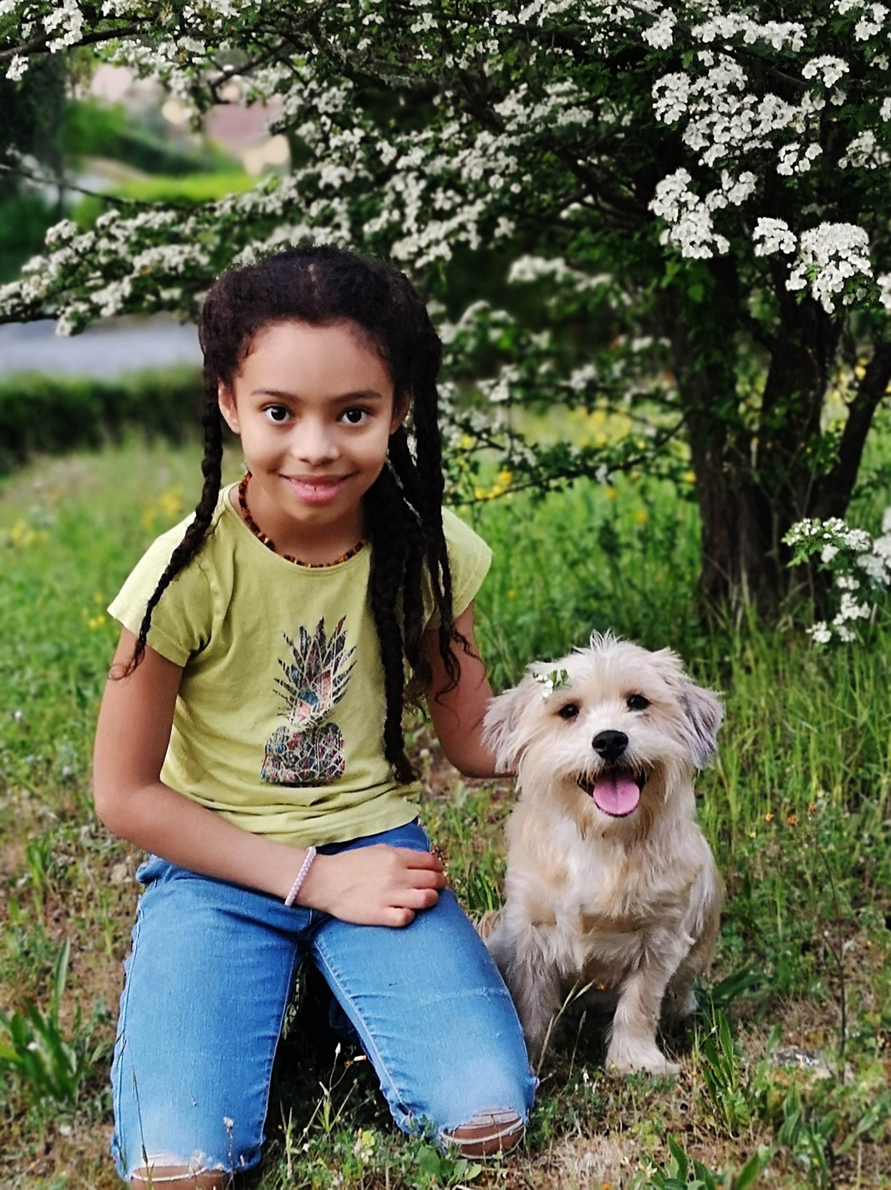 Une image contenant chien, ext�rieur, herbe, petit

Description g�n�r�e automatiquement