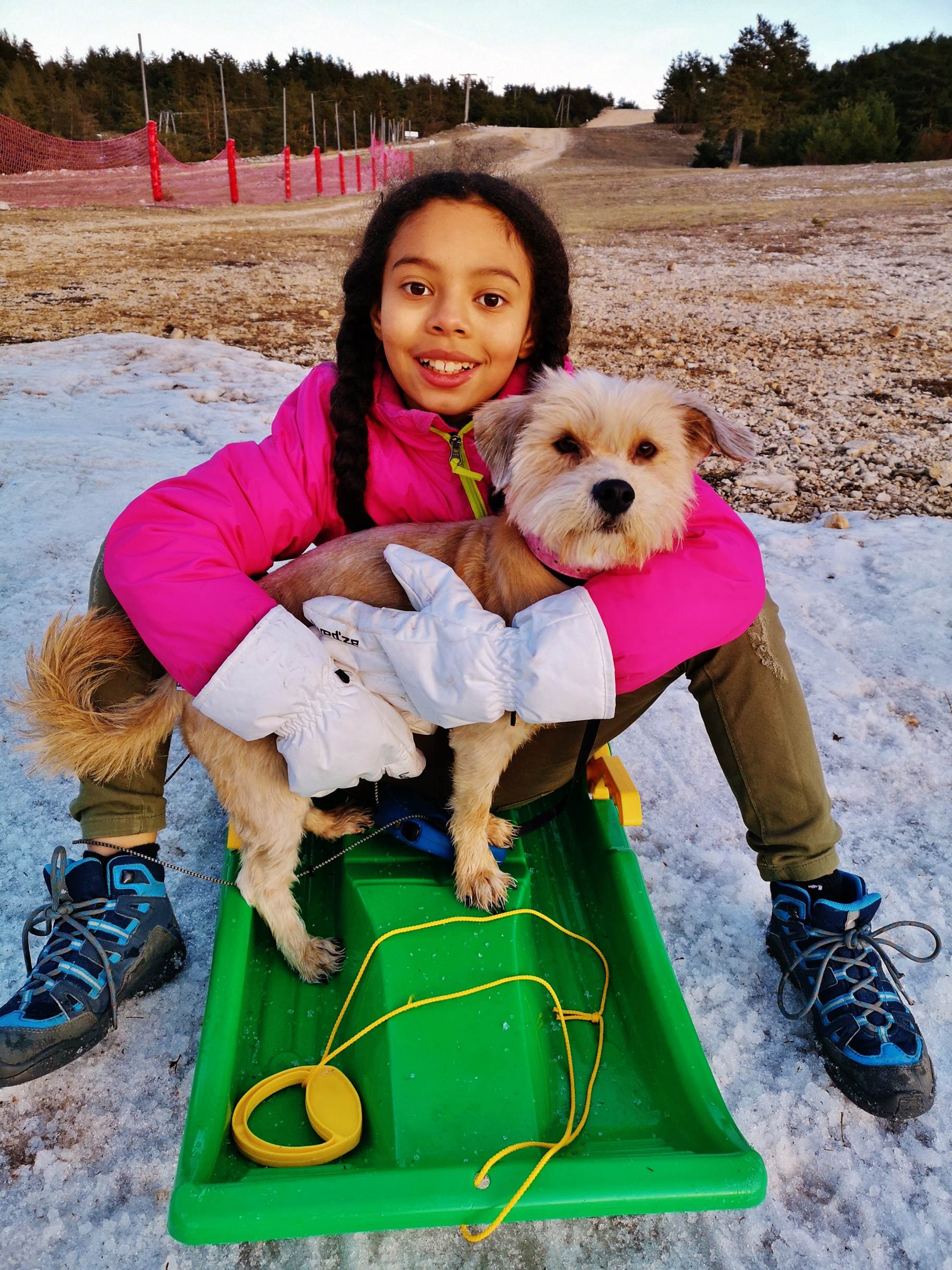 Une image contenant ext�rieur, petit, chien, assis

Description g�n�r�e automatiquement