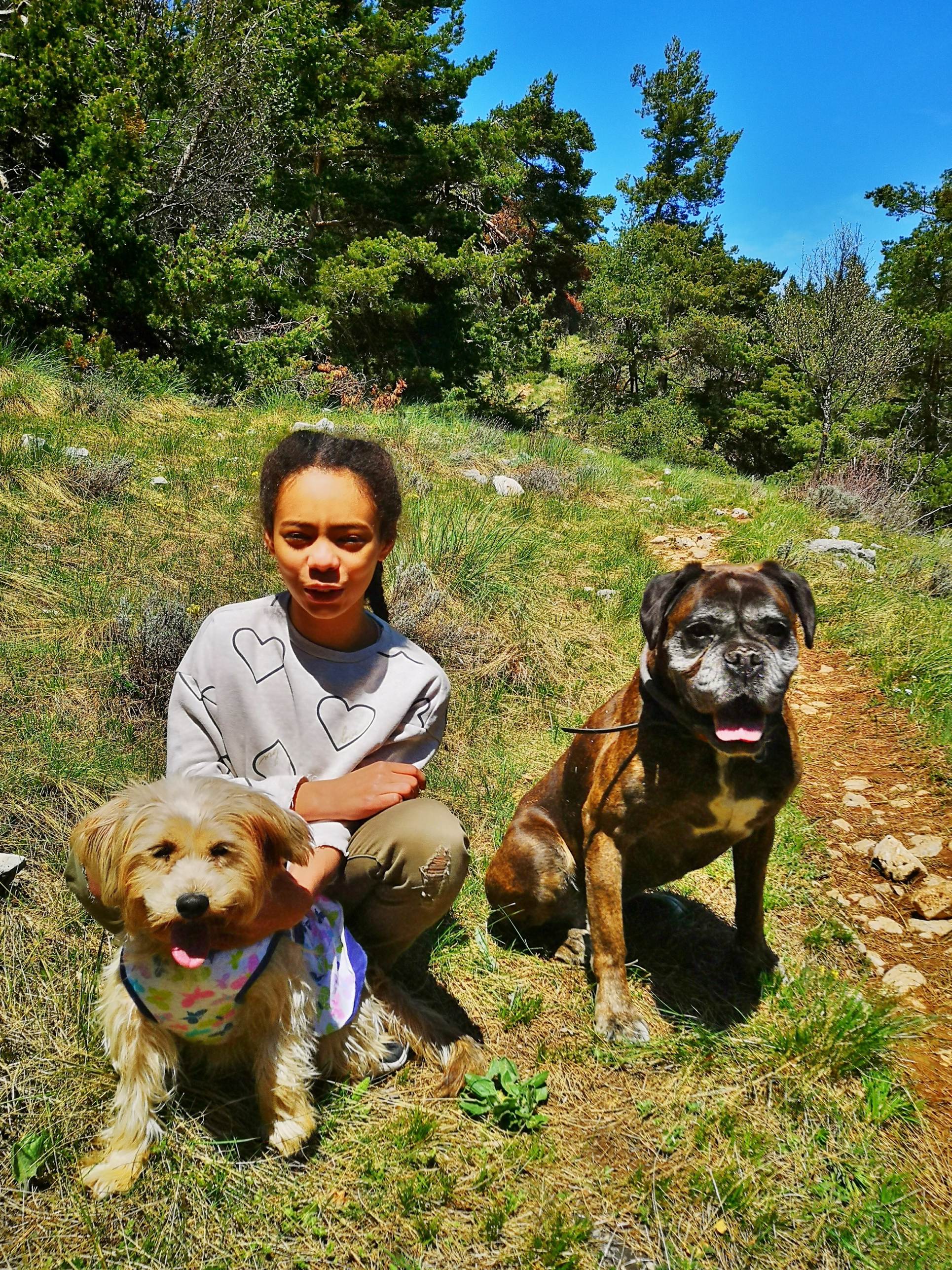 Une image contenant chien, arbre, herbe, ext�rieur

Description g�n�r�e automatiquement