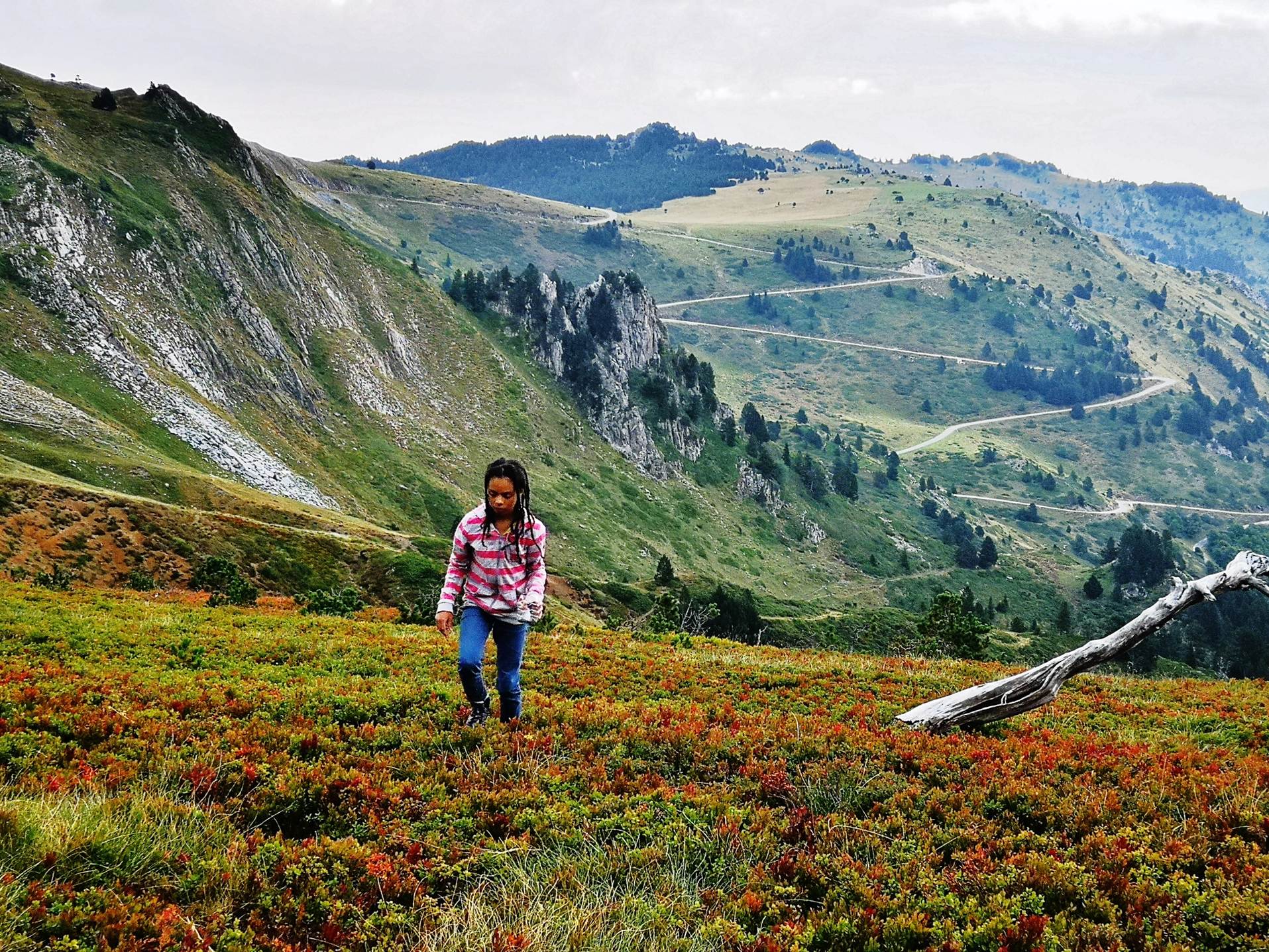 Une image contenant herbe, ext�rieur, montagne, nature

Description g�n�r�e automatiquement