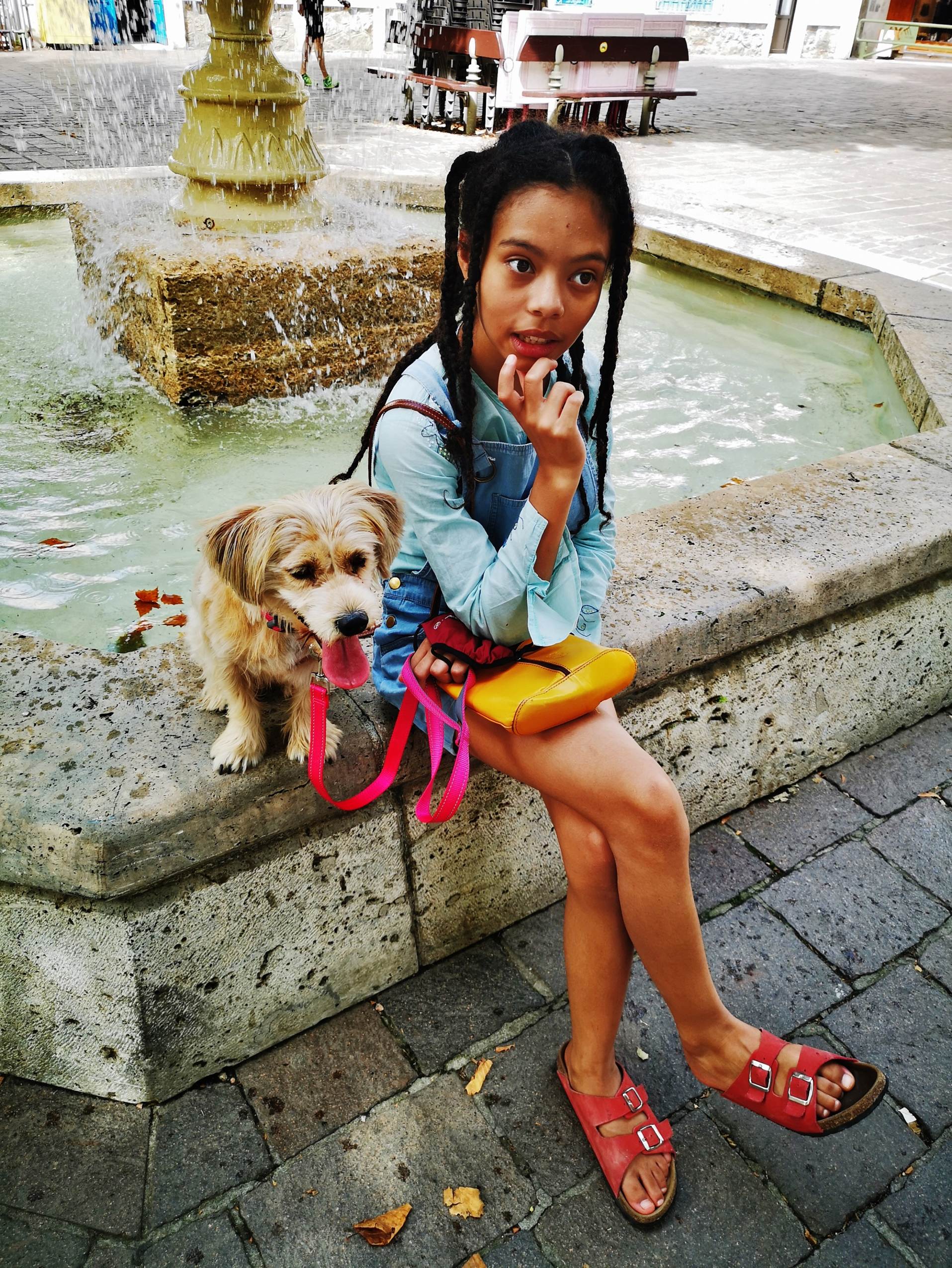 Une image contenant ext�rieur, chien, terrain, personne

Description g�n�r�e automatiquement