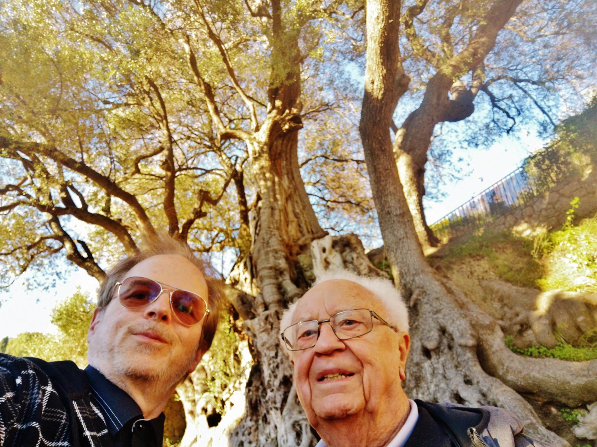 Une image contenant arbre, ext�rieur, personne, homme

Description g�n�r�e automatiquement