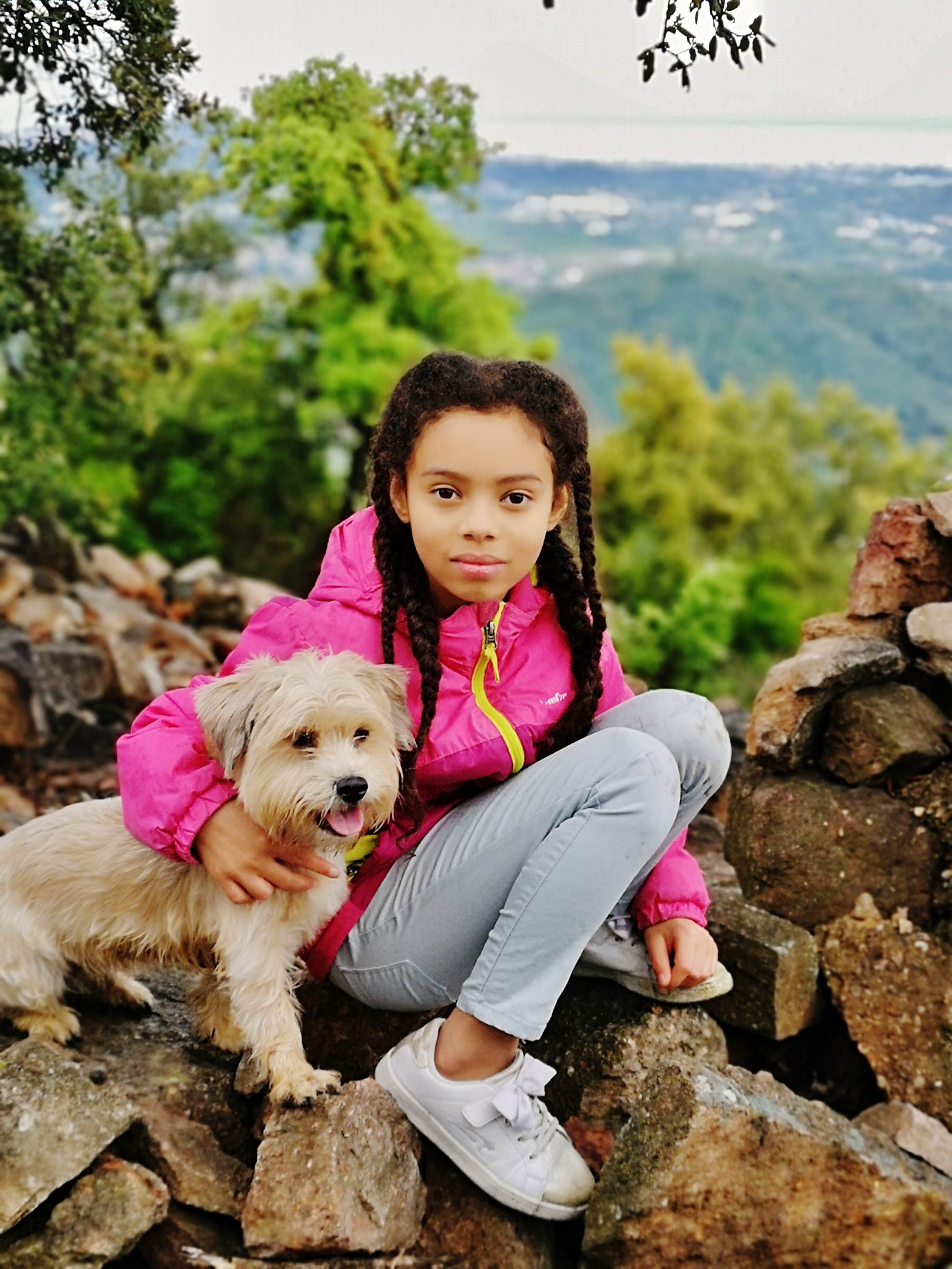 Une image contenant chien, ext�rieur, assis, petit

Description g�n�r�e automatiquement