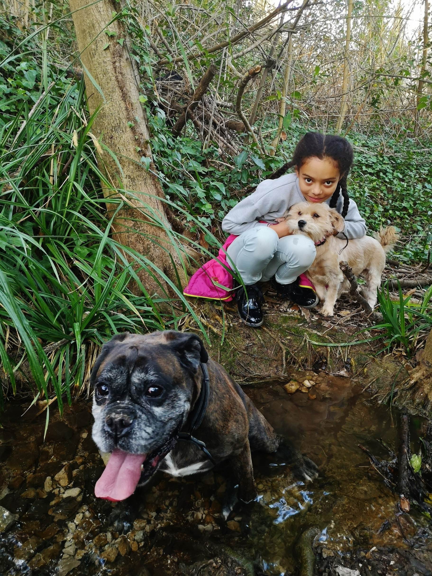 Une image contenant chien, herbe, ext�rieur, petit

Description g�n�r�e automatiquement