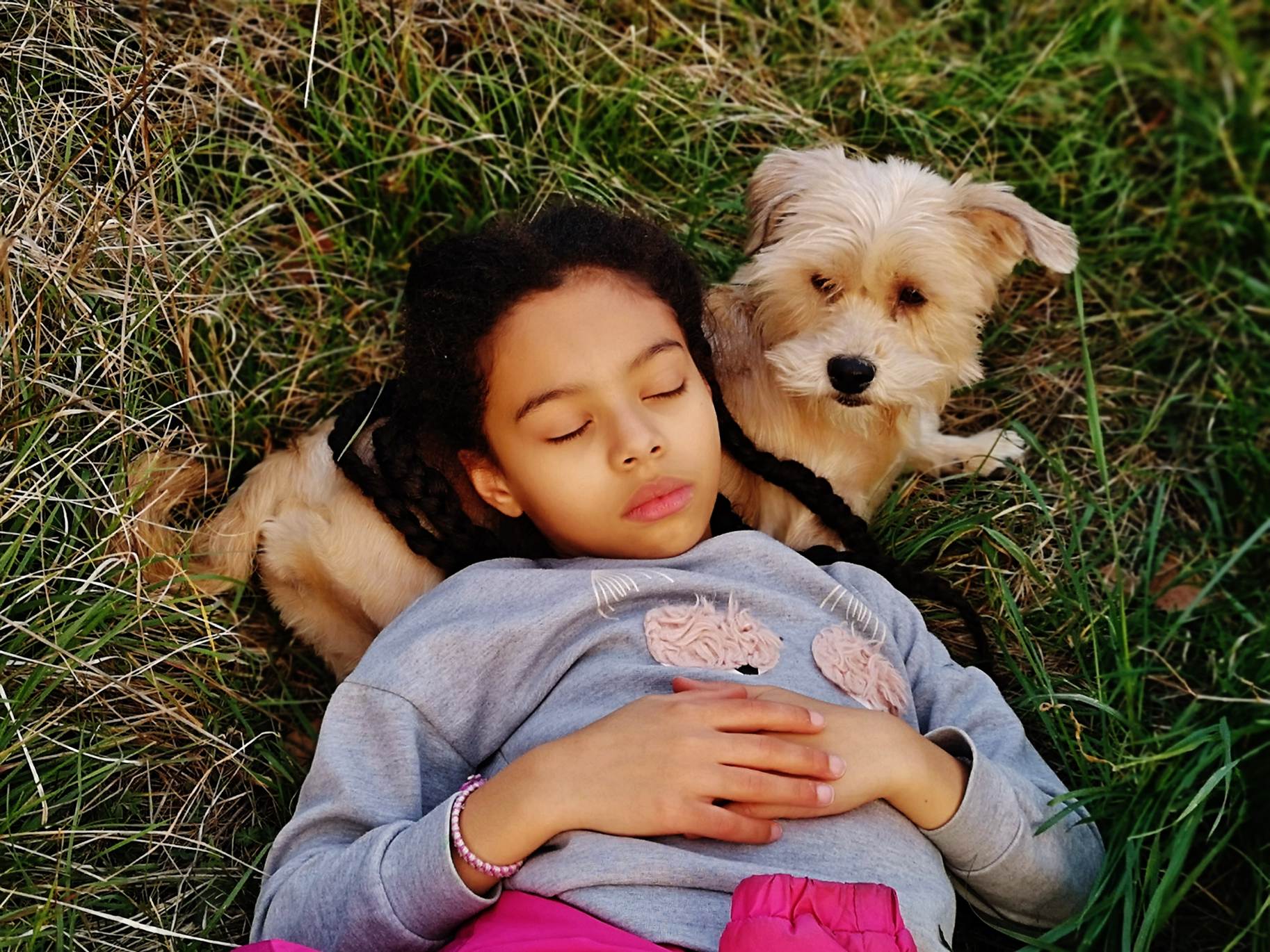 Une image contenant herbe, chien, ext�rieur, petit

Description g�n�r�e automatiquement