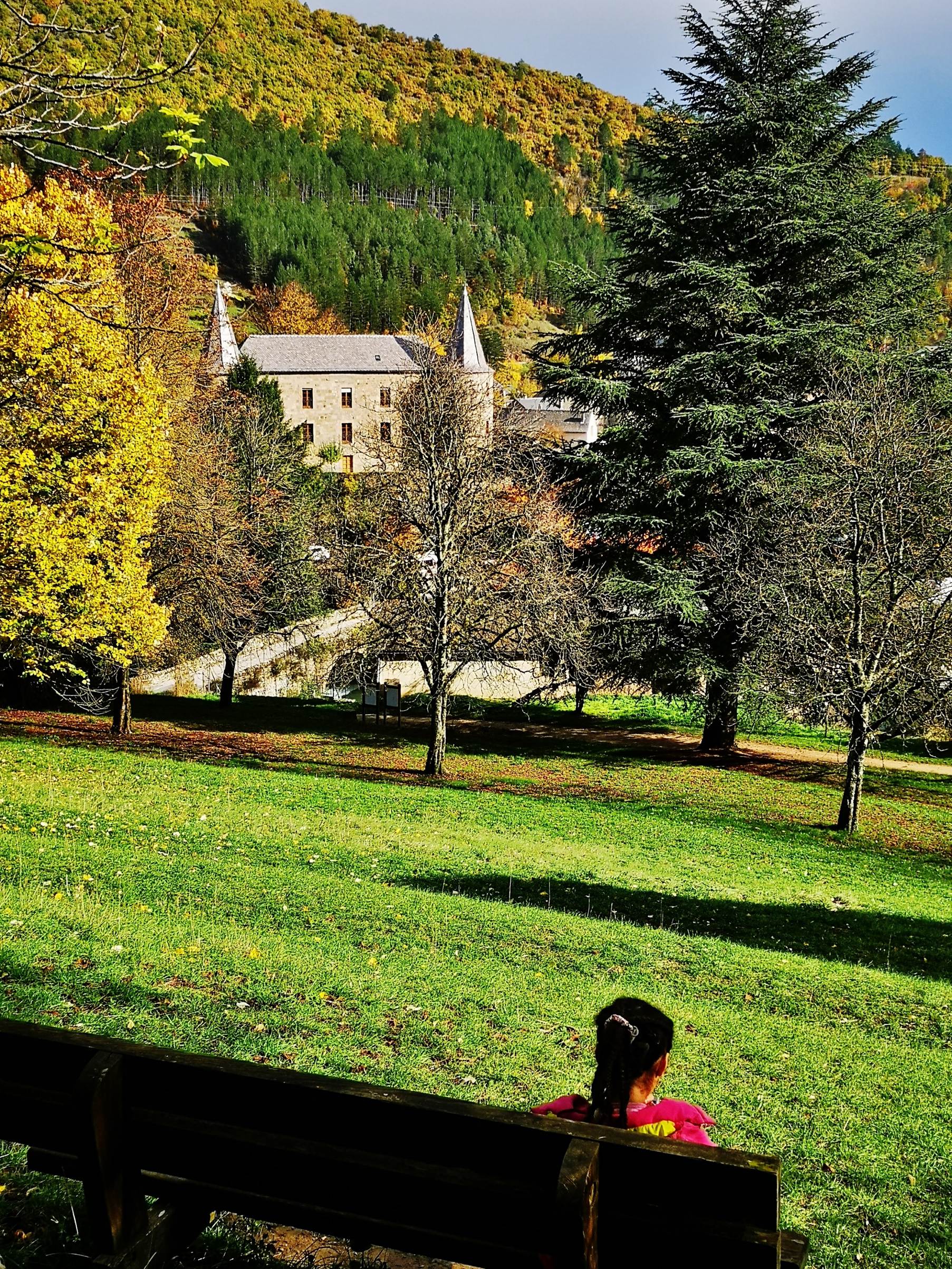 Une image contenant herbe, ext�rieur, assis, parc

Description g�n�r�e automatiquement