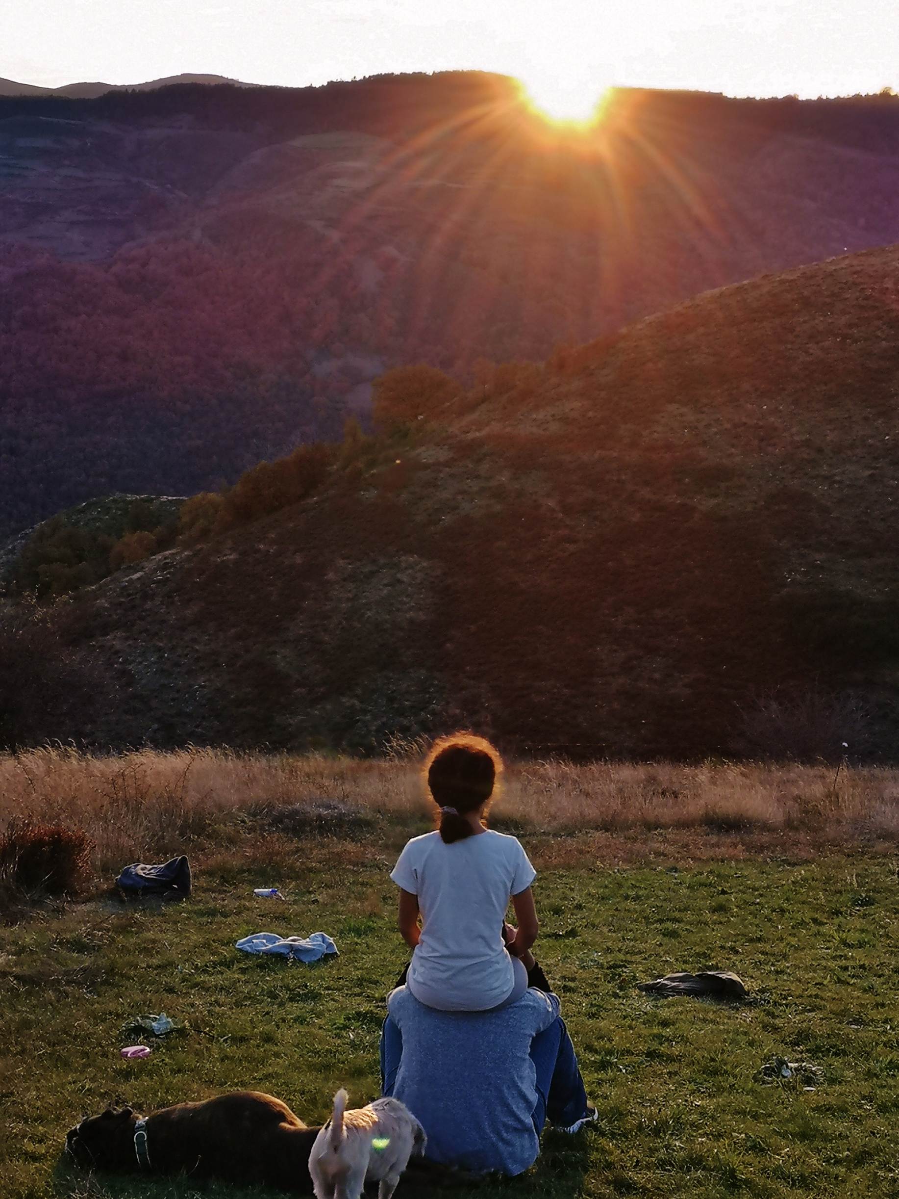 Une image contenant herbe, ext�rieur, champ, cerf-volant

Description g�n�r�e automatiquement