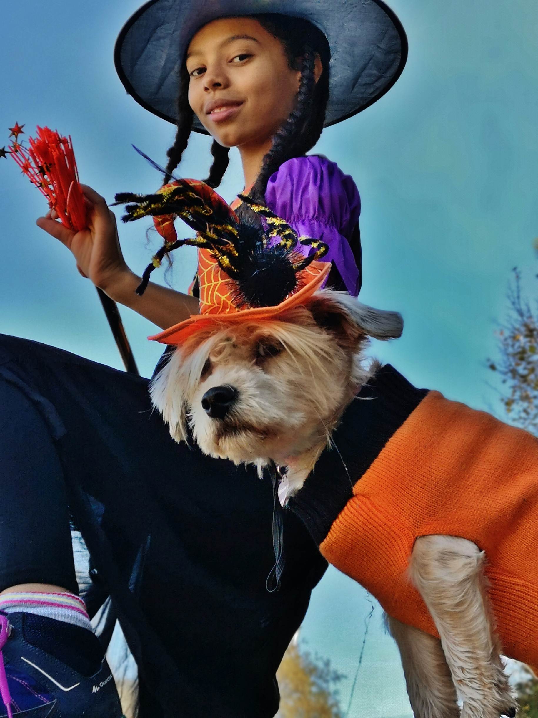 Une image contenant chien, personne, petit, portant

Description g�n�r�e automatiquement