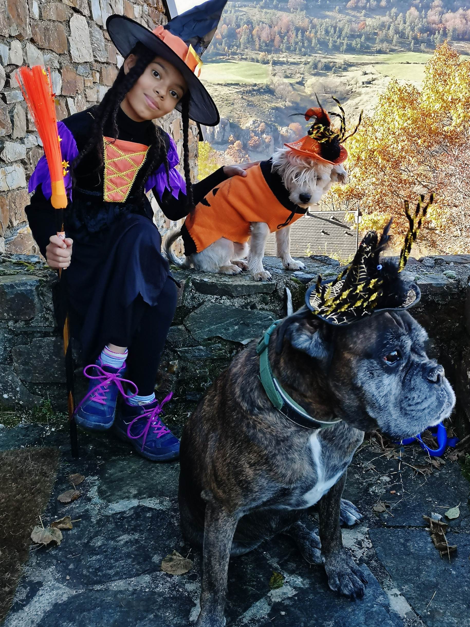 Une image contenant ext�rieur, chien, personne, petit

Description g�n�r�e automatiquement