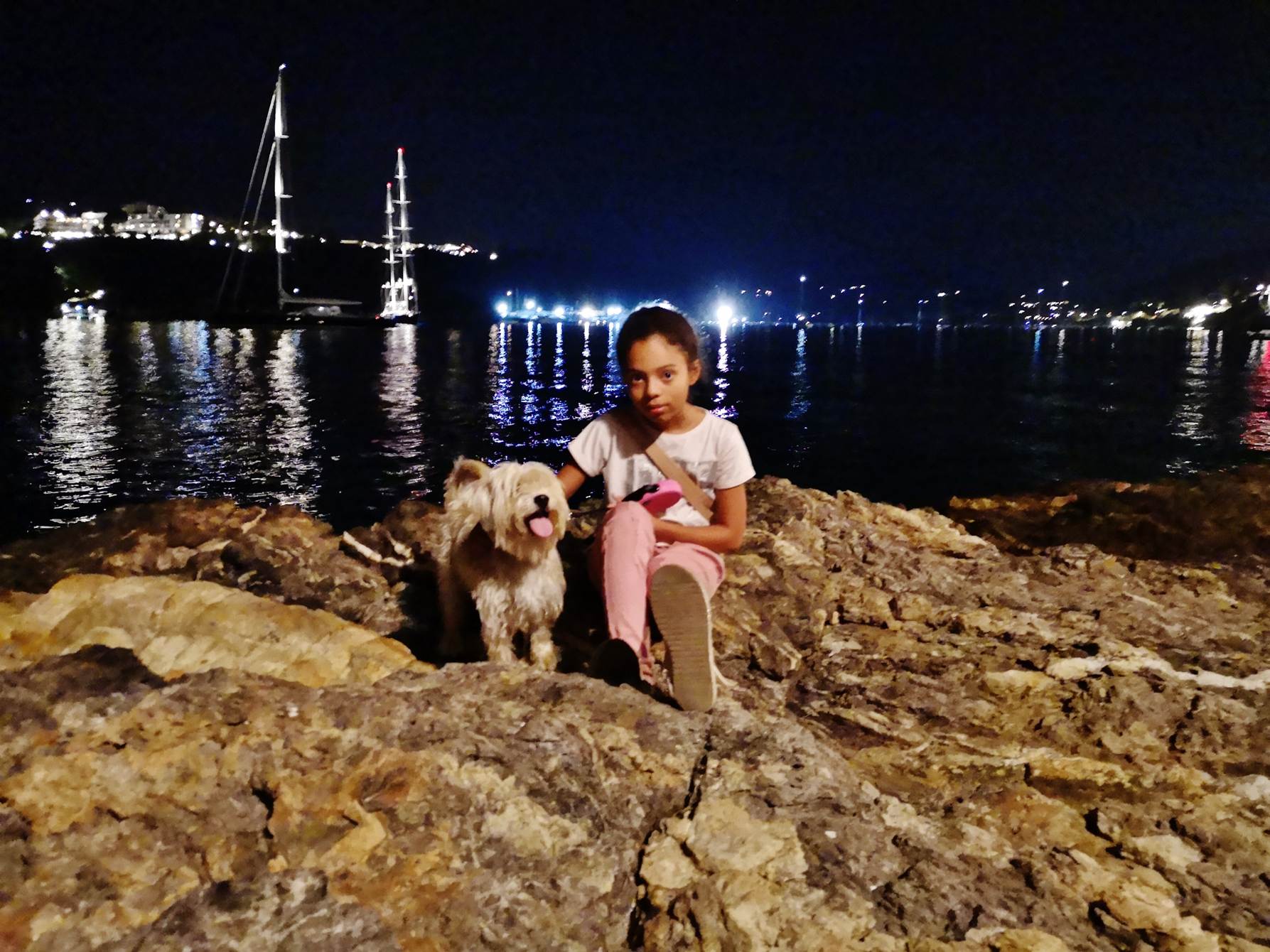 Une image contenant ext�rieur, eau, chien, debout

Description g�n�r�e automatiquement